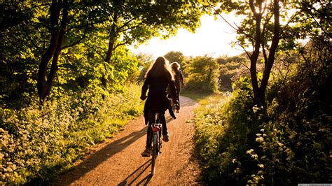 Wallpaper Sports Sunlight Trees Forest Bicycle Vehicle Women