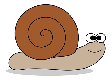Snail Clipart Clip Art Library