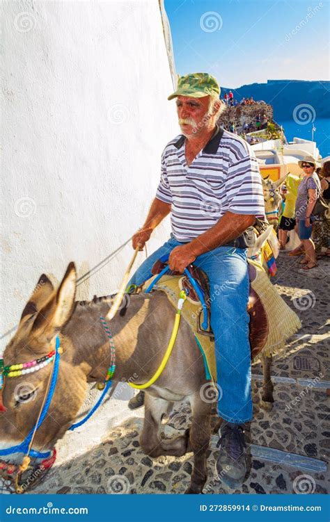 Caravan Of Donkeys Moving Narrow Cobbled Street Oia Santorini Greece