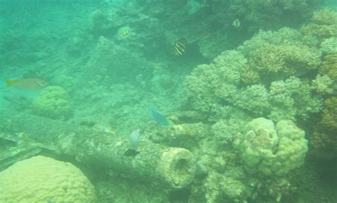 Scuba Diving In Vanuatu