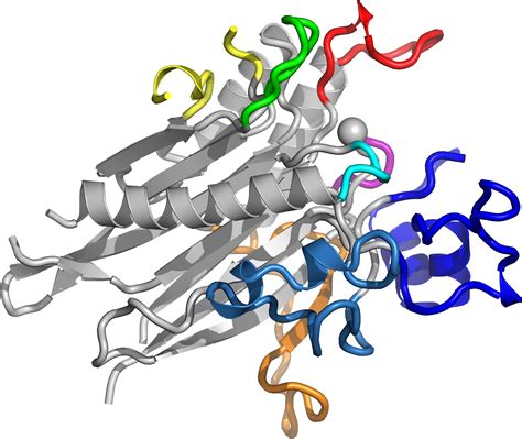 Researchers Define Structure Of Key Enzyme Implicated Illustration