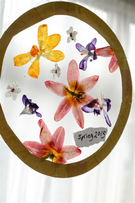 Dried Pressed Flowers Suncatcher Craft In The Playroom