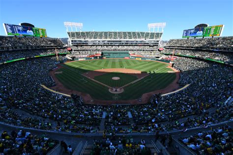 Photo Released Of Couple Suspected Of Nsfw Act At Mlb Game Trendradars