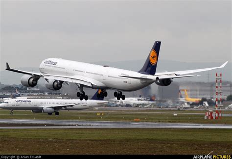 D Aihe Lufthansa Airbus A340 600 At Frankfurt Photo Id 204568