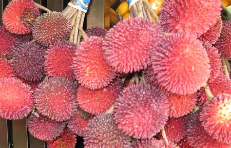 From wikipedia, the free encyclopedia. Local fruit of Malaysia | Pulasan. Its taste just like ...