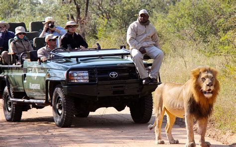 The Top 10 Safari Outfitters African Safari Tour Safari African Safari