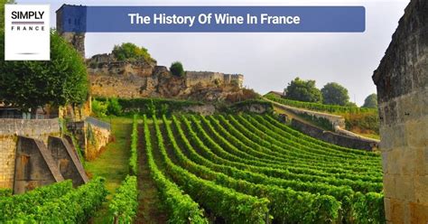 The Ultimate Guide To Wine Tourism In France Simply France