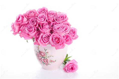 Pink Roses In Vase Stock Image Image Of Colorful Bloom 26227043