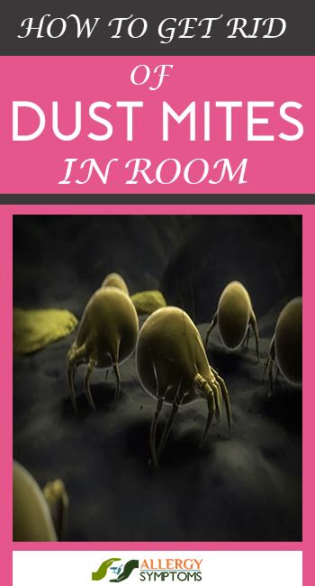 How To Get Rid Of Dust Mites In A Room Allergy Symptoms