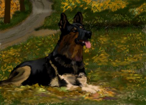 German Shepherd By Macaodhagain On Deviantart