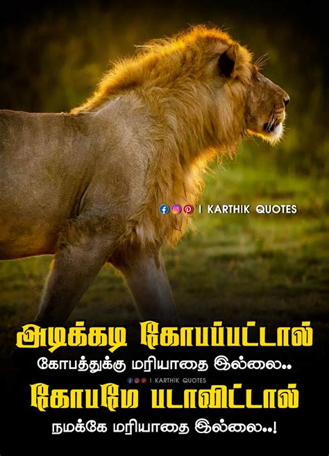 Incredible Lion Motivational Quotes Tamil References Pangkalan