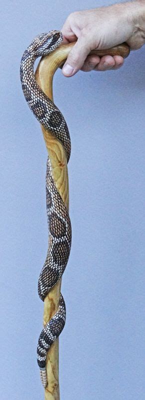 Hand Carved Rattlesnake Walking Cane By Mike Stinnett Walking Sticks