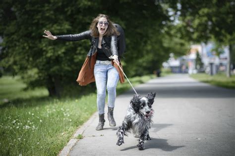 Special Topics Classes The Persuaded Pooch St Louis Mo Dog Training