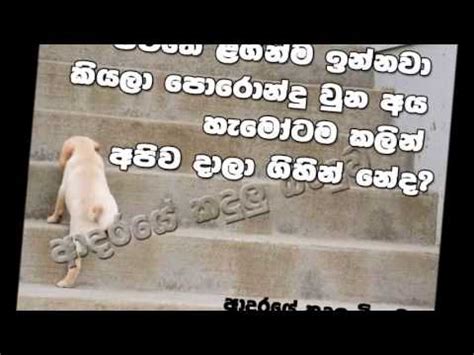 Check spelling or type a new query. Sinhala Love Wadan | Foto Bugil Bokep 2017
