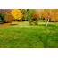 Why Your Cool Season Grass Needs Fall Fertilizer • GreenView