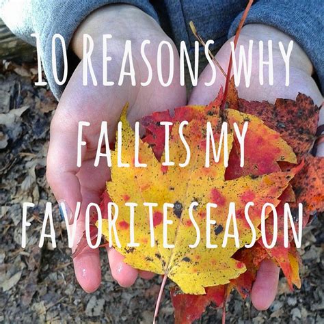 Cultivate Create Ten Reasons Why Fall Is My Favorite Season