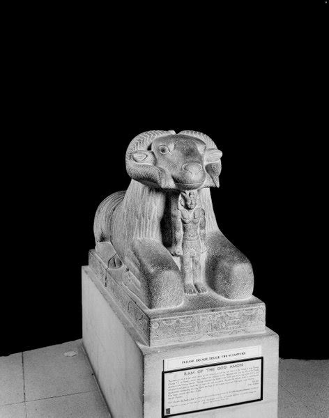 Ashmolean Museum Image Library Statue Of The Ram Of Amun