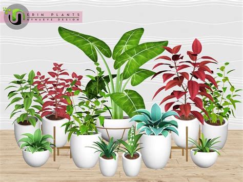 Nynaevedesigns Erin Plants Ii Sims 4 Sims Sims 4 Cc Furniture