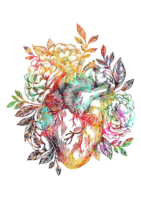 Anatomical Heart With Flowers Digital Art By Erzebet S Pixels