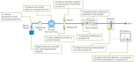 What Is Hplc High Performance Liquid Chromatography ？ Shimadzu