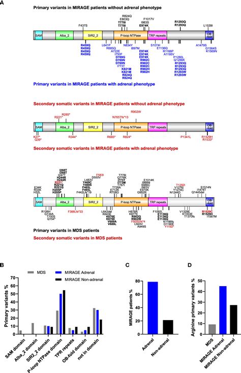 Frontiers Emerging Phenotypes Linked To Variants In Samd9 And Mirage Syndrome
