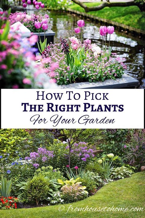 How To Pick The Right Plants For Your Garden Images By By Grecaud Paul And Elenathewise Adobe