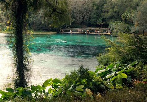 The 9 Best Natural Springs Near Orlando Cuddlynest