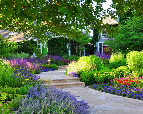 Best Perennial Flowers For Colorado Fabulous Water Wise Perennials