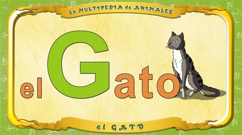 La Multipedia De Animales Letra G El Gato Youtube Dcf