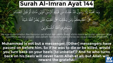 Surah Al Imran Ayat 144 3144 Quran With Tafsir My Islam