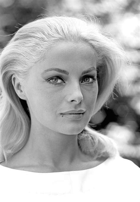 Virna Lisi Nrfpt