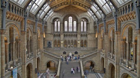 Natural History Museum London Museums And Galleries Art Fund