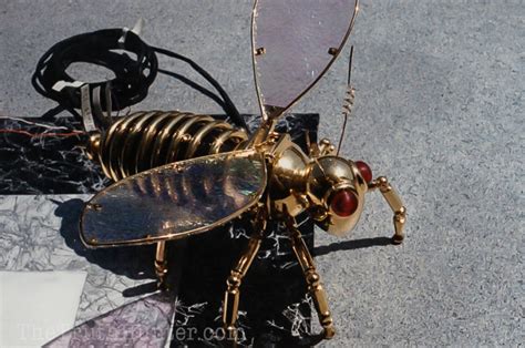 Is This A Top Secret Nsa Insect Spy Drone