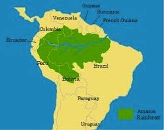 Tropical forests have the largest living biomass and boast some of the highest rates of terrestrial biodiversity. The Perfect Brazilian Vacation - Tropical Rain FOREST