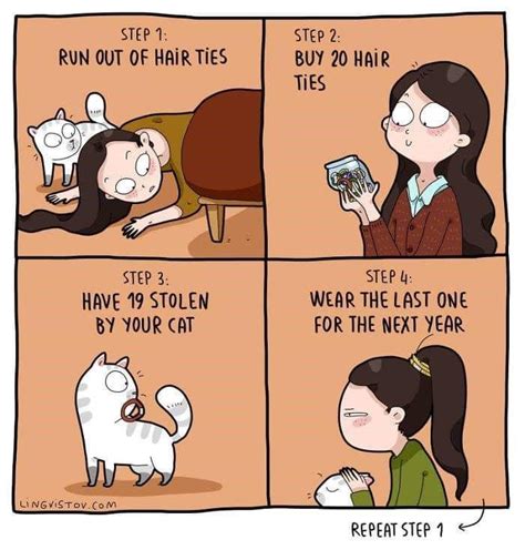 Relatable Cat Comics For Feline Owners And Appreciators Cat Comics