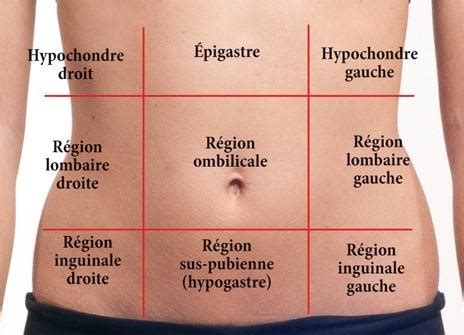 Ulcère de l estomac ou du duodénum Gastro Entérologie Clinique Val d