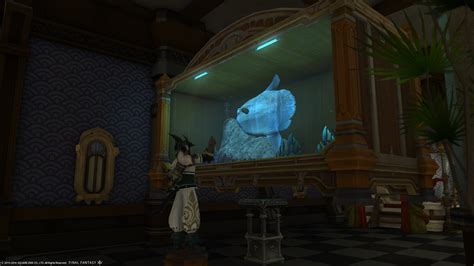 Discover the magic of the internet at imgur, a community powered entertainment destination. Baby Float Ffxiv - Blog Eryna