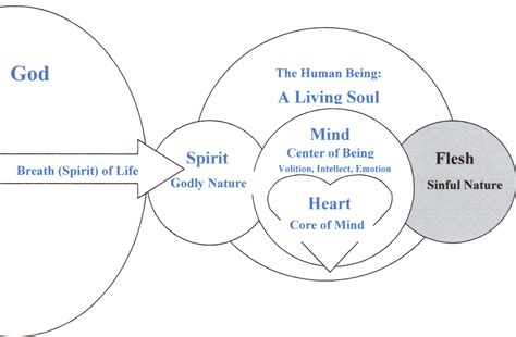 Understanding Human Nature Spirit Mind And Body