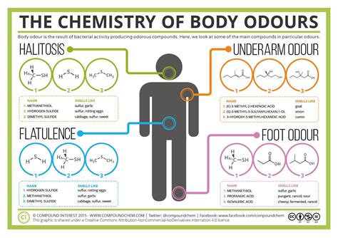 Microbial Origins Of Body Odor
