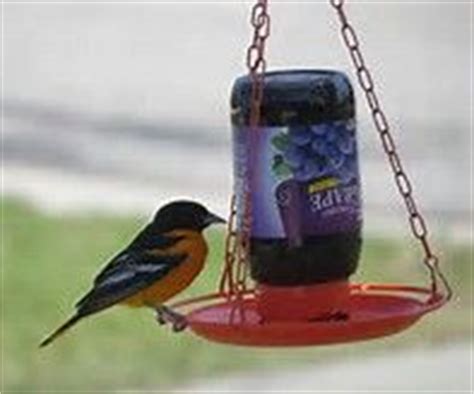 Check spelling or type a new query. homemade oriole jelly feeder | Oriole bird feeders, Bird feeders, Bird house kits