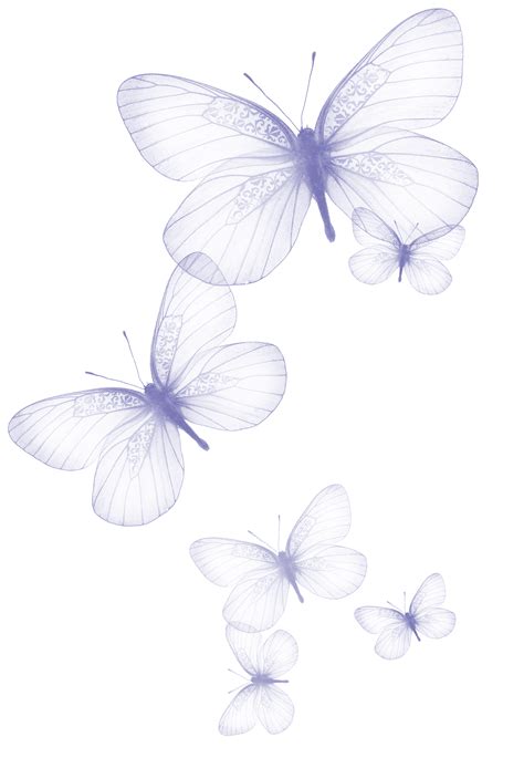 Transparent Butterfly Png Clipart Picture Fondos Mariposas Arte De