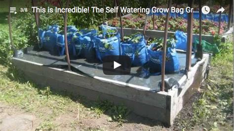 A Self Watering Grow Bag Grow System The Survival Gardener