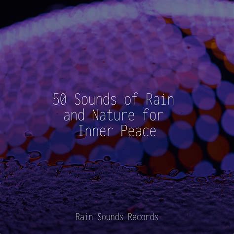 50 Sounds Of Rain And Nature For Inner Peace Avslappning Sound 专辑 网易云音乐