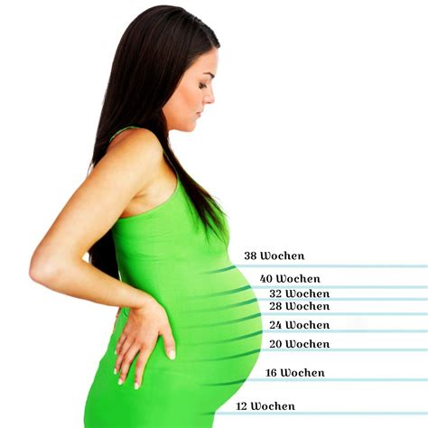 In diesem alter kann man bei den babys. Entwicklung in der 19. SSW - Was geschieht bei Mutter und ...