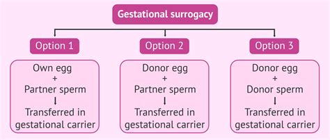 Surrogacy All In One Meaning Types Process Cost And Its Laws In India