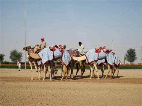 In the preceding verses the rich young ruler wanted to justify his own will. Platinum Heritage Desert Safari Dubai - Important Things ...