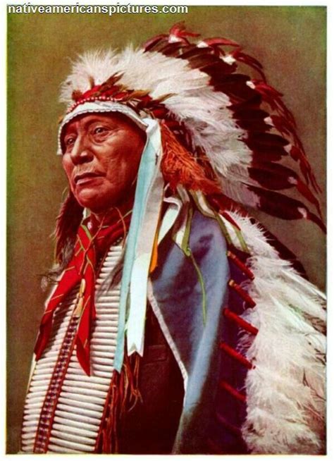 Indian Indians Native American Cherokee Native American Native