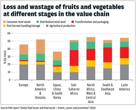 Each Year Half The Fruits Vegetables World Produces Are Wasted Fao