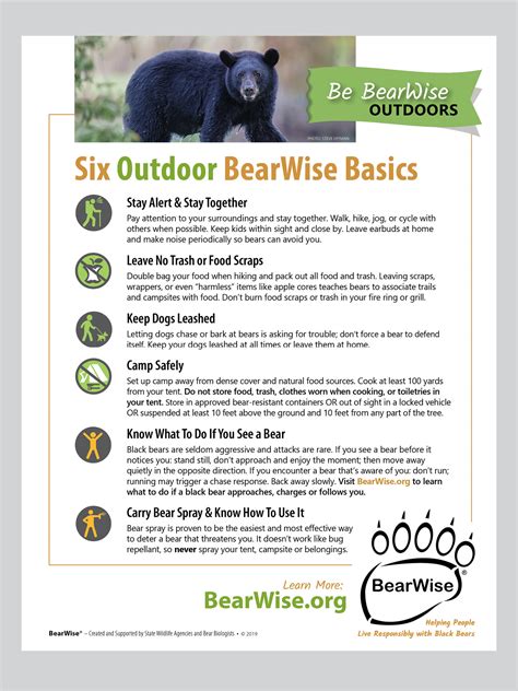 Black Bear Camping Safety