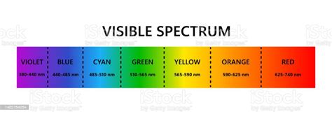Visible Light Spectrum Optical Light Wavelength Electromagnetic Visible Color Spectrum For Human
